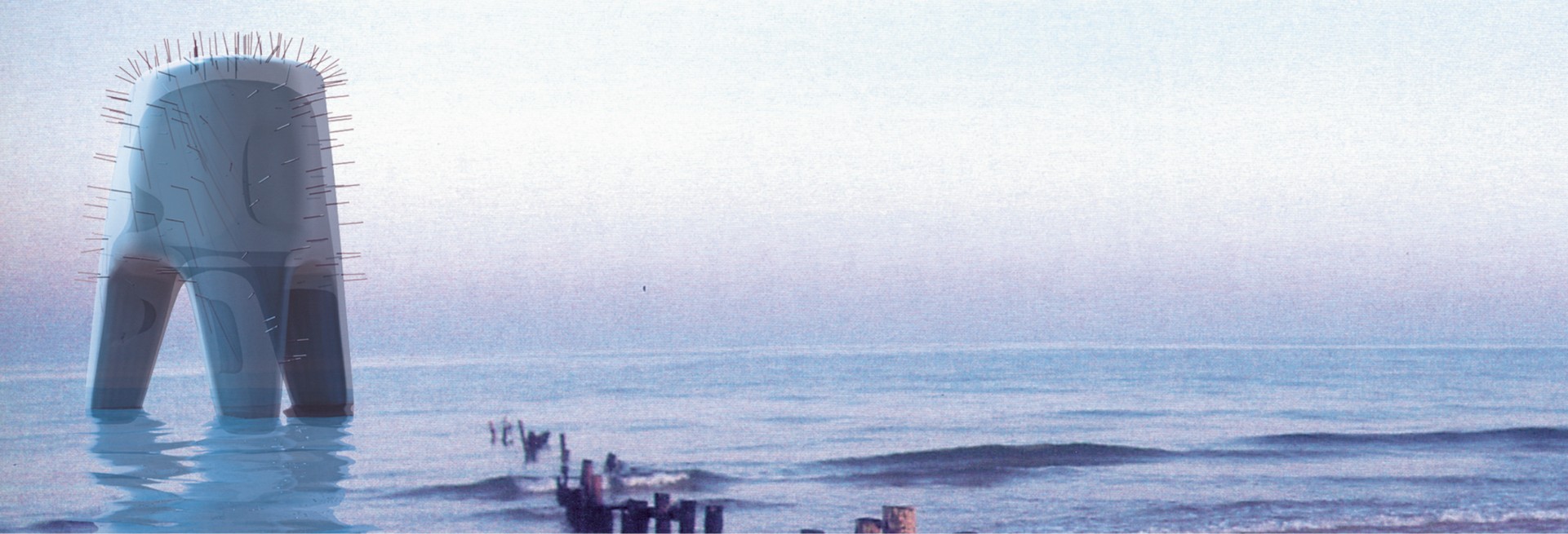 Ekoton program 5